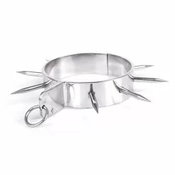 RVS Spiked Collar Van Kiotos Steel