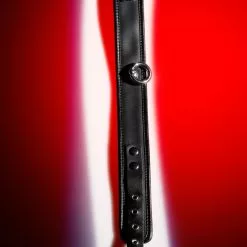 Zado Leather Fashion Wild Thing Lederen Bondage Collar Met O-Ring Van Zado -Bondage - Boeien Verkoopwinkel 20300711101 nor b 1