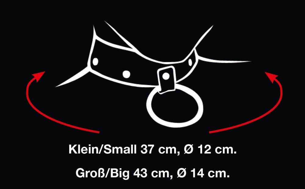 Stalen Hoog Gepolijste BDSM Collar Van Bad Kitty 6 Stalen Hoog Gepolijste BDSM Collar Van Bad Kitty - Afbeelding 4