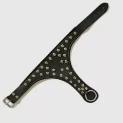 Saxos BDSM Toys Volleder Slave Collar Met O Ring En Studs By Saxos -Bondage - Boeien Verkoopwinkel collar outside open