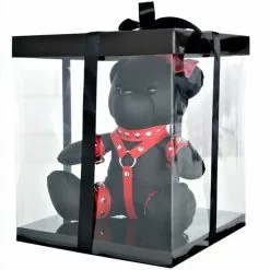 Kiotos Leather - MEDDY De Kinky Leather Lady BDSM TEDDY Beer