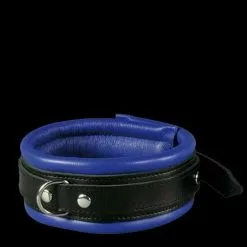 Saxos BDSM Toys Luxe Gevoerde Blauwe Halsboei Met D-ring