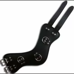 Saxos BDSM Toys Corset Halsband Met 3 D-ringen Van Saxos